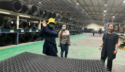 Delegación de Nigeria Analiza Soluciones de Medios de Cribado de Red Star